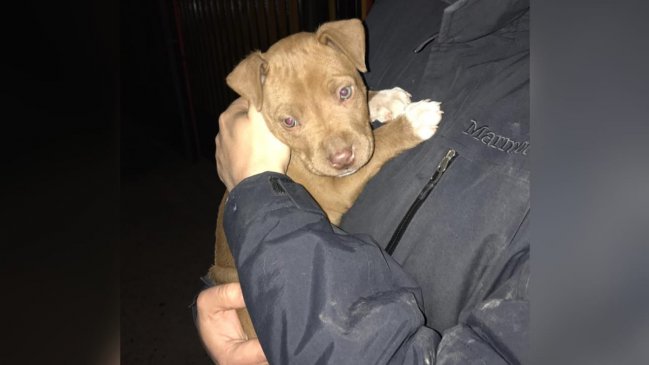 Cooperativa tweet media