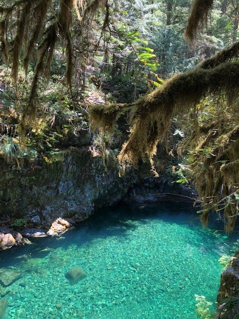 OPB_Ed_Jahn's tweet image. You love #science. You are passionate about #journalism. And #Scicomm. On your weekends, you wouldn&apos;t mind relaxing in places like this. Right? @OPB is looking for a Science Reporter, but the deadline is FRIDAY! Get on it! Now! opb.org/about/jobs/sci… @OPB_Sci_Env