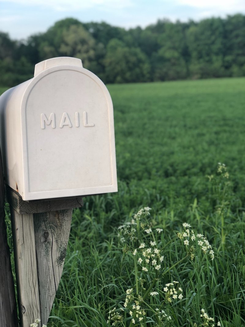 Believe it or not, email still matters. Especially your email nurturing strategy. Build better relationships with readers and start meaningful digital conversations. Learn more on our blog!

waywardkind.com/email-nurturin…

#emailnurturingstrategy #letsgetwayward #contentdevelopment