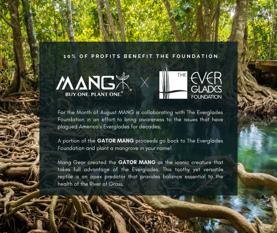 evergfoundation's tweet photo. Hanging in the mangroves with a few trusted friends @manggear, @YETICoolers, &amp; @OrvisFlyFishing. Get the shirt and support the cause. #GatorMANG #EvergladesRestoration #EvergladesCollection #EvergladesFoundation 

Shop the collection here 👉: https://t.co/Rlx3o8GRk7 https://t.co/N3jMK4hQwI