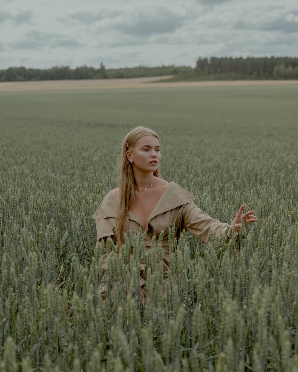 Lintustudio tweet media