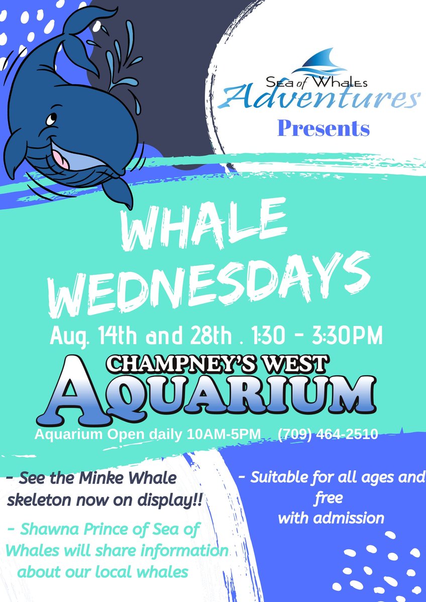 Champney's West, NL tweet media