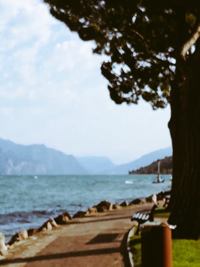 AldinaConsolini's tweet photo. Nubi in cielo come ricami
Il mormorii dolce dell'onda
Monti all'orizzonte
Una barchetta veleggia leggera sul lago
Piccole cose che riempiono di gratitudine il cuore
Di certo non è il Paradiso
ma un anticipo per me lo è
#Lemieradici
#TorridelBenaco
#BellItalia🇮🇪
#lagodigarda https://t.co/fAy2dfjMUd