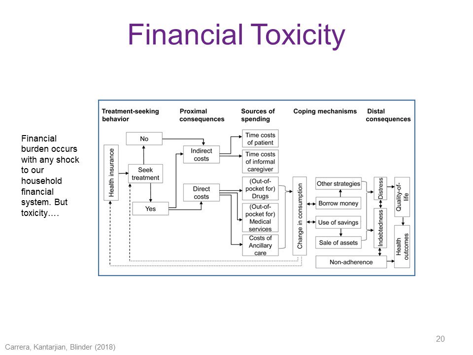 moneytalk1's tweet photo. #MFLNPF Webinar: @mikegutter talking about financial aspects of cancer and the model of financial toxicity https://t.co/3Uvc81IuO8