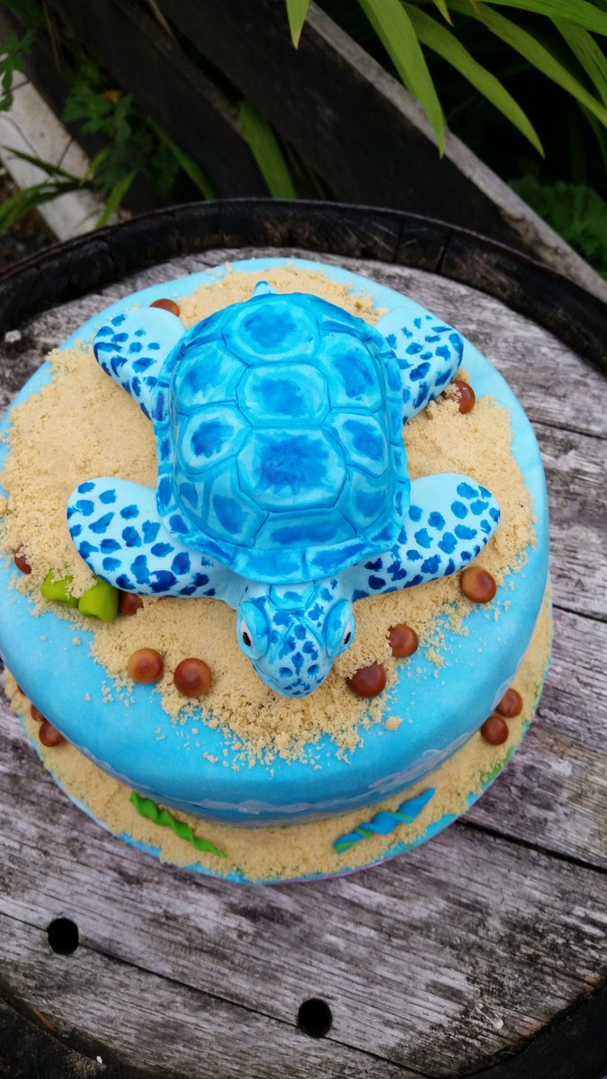 PamMacRuary's tweet photo. Blue Turtle cake made for Breagha. https://t.co/XlyKjkqOuC