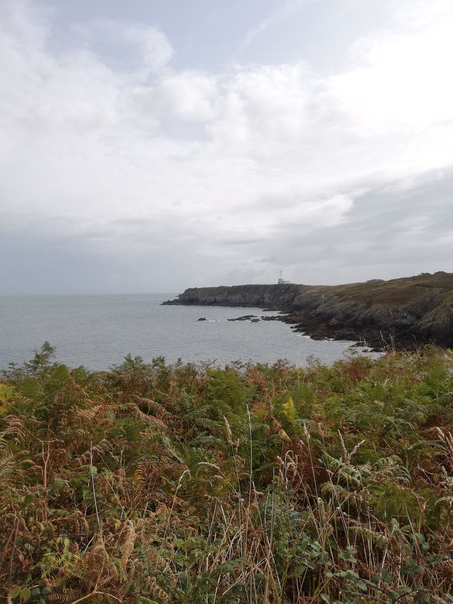 Aujourd'hui, on a passé la Pointe du Grouin et le cap des 200 km depuis le départ. Demain, nous arriverons à Saint-Malo... Le sentier côtier est plus sportif et Sacha nous surprend chaque jour. #Bretagne #gr34