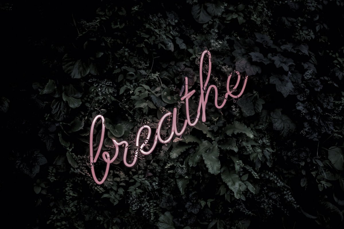 platformbahrain's tweet photo. B R E A T H E 

1. Practice breathing. #Breath is one of the most under appreciated, but #crucial, aspects of life. You, like most people, probably take your breathing for granted. But it’s right there. It might quicken when you’re #stressed or slow down when you’re sleeping https://t.co/rUpnMMtLpk