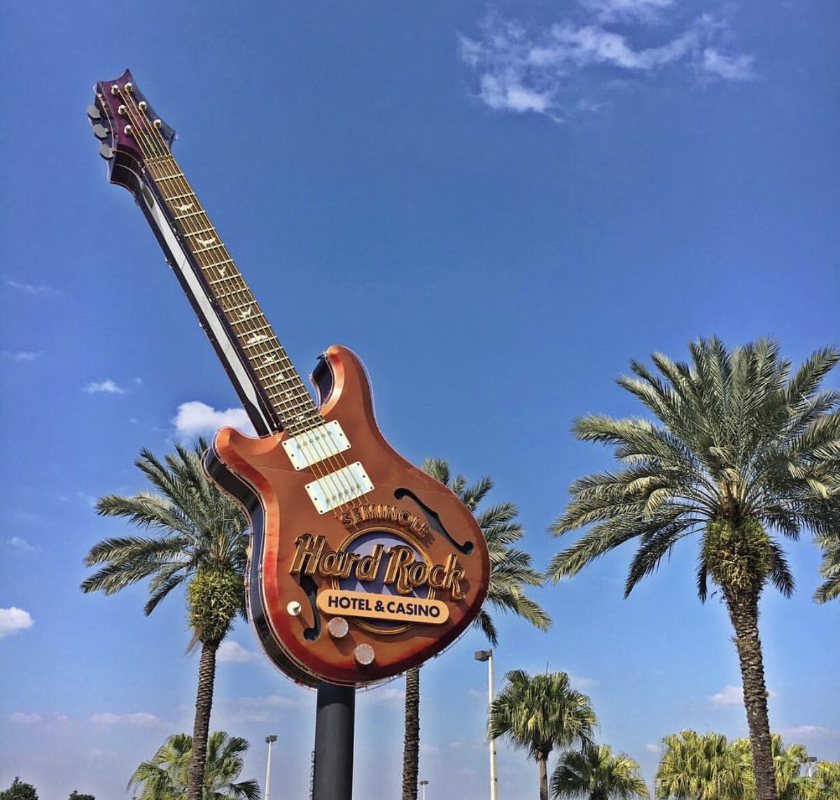 DarienShirley's tweet photo. Happy 813 Day, Tampa Bay! I love my city! ☀️🏙🌴 #813Day #TampaBay https://t.co/b4IjaznhMa