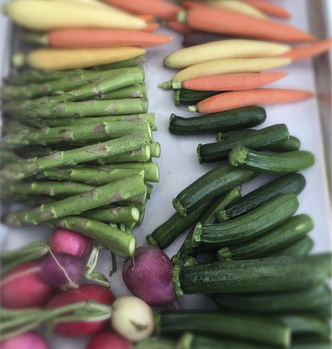 LoganStMarket's tweet photo. Prana is a wellness food company that will bring vibrant, unrefined veg-centric food and beverages to the Market! Prana will also be home to Louisville’s First mocktail bar 🍸She will be set up at our FarmersMarket tomorrow from 4-7 sampling ginger shots &amp; more! @pranajunkiechef https://t.co/PZZ1CW3Aw0