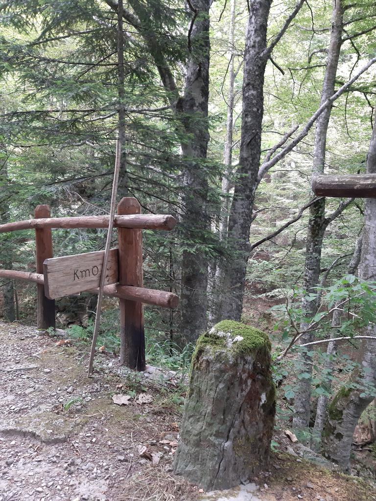 seya20's tweet photo. Km0 si parte?
#km0 #siparte #passeggiata #camminata #foresta #parco #bosco #natura #verde #relax #ossigeno #fresco #campigna #parconazionaleforestecasentinesi #parconazionaleforestecasentinesimontefalteronacampigna #romagna #italia #Italy https://t.co/iML3i8bxNN