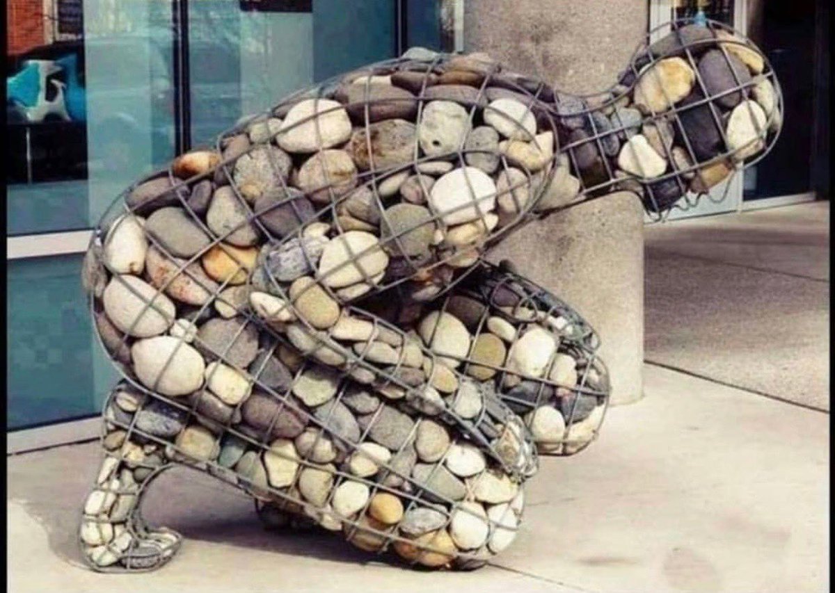 drnevzattarhan's tweet photo. Genç arkadaşım,
Bedava peynir sadece fare kapanında bulunur ,
Emek vermeden, terlemeden elde edilen başarı rüyada olur, zora talip ol ki kalıcı başarın olsun.. ⁦@drnevzattarhan⁩ ⁦@npistanbul⁩ ⁦@uskudaruni⁩ https://t.co/nFf3XrmYCC
