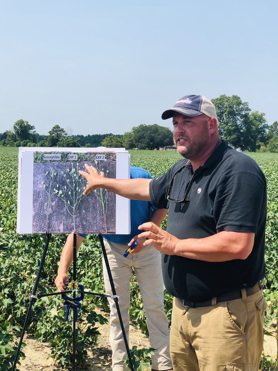 DerekRacca's tweet photo. Dr. Jason Woodward announced a brand new solution to help growers thrive in cotton. The PhytoGen Breeding Trait for reniform nematodes will offer season-long, genetic resistance that won’t wash away! #ThriveWithPhytoGen https://t.co/ficKyxZOiu
