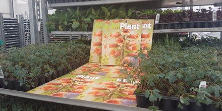 Deze week ligt de nieuwe #catalogus van Gootjes-AllPlant bij u in de brievenbus. 
Next week you will find the new #catalogue of Gootjes-AllPlant in your mailbox . 

#allplant #weefselkweek #tissueculture #youngplants