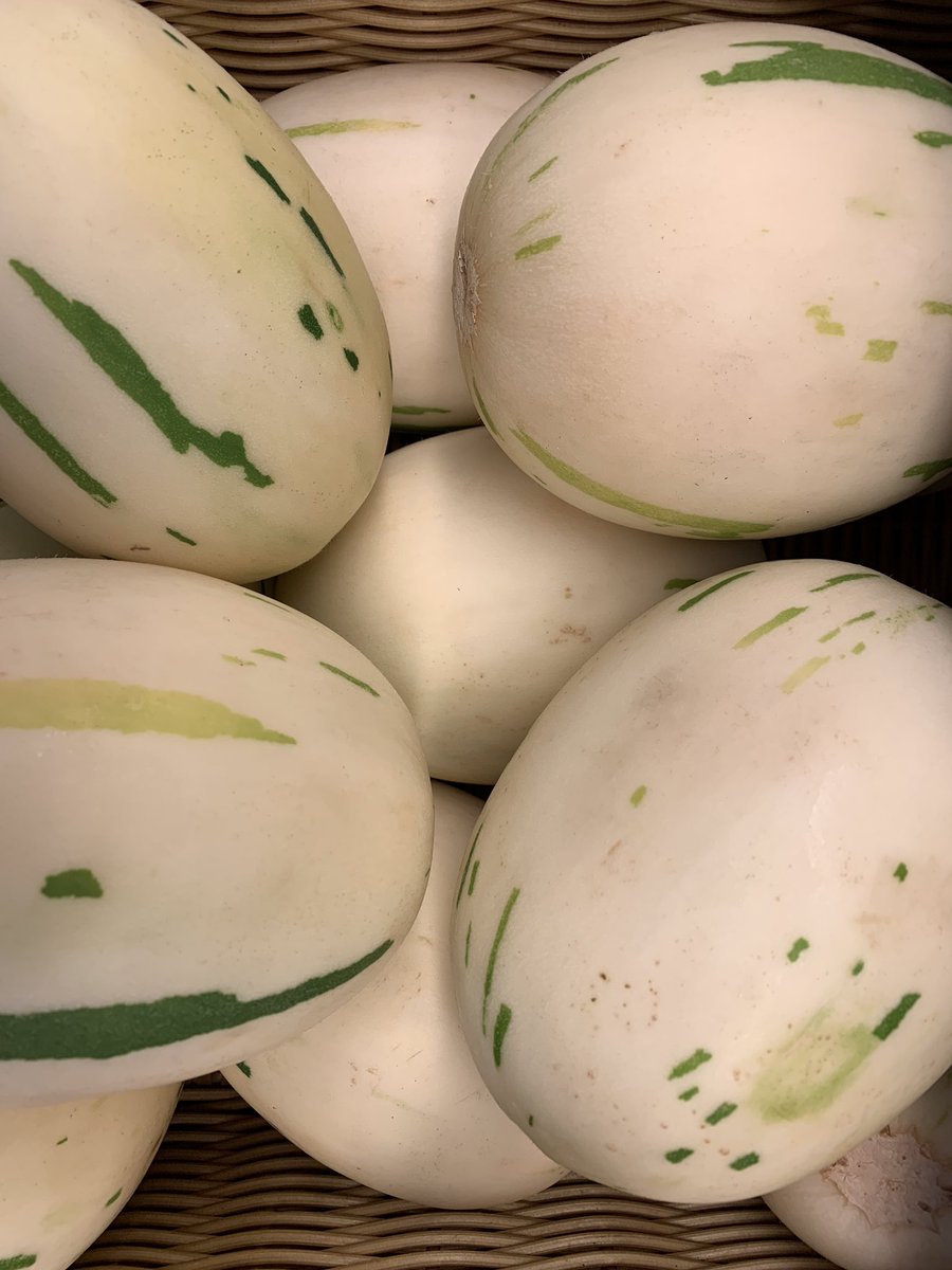 3rdStreetMarket's tweet photo. Organic Snow Leopard Melons! DeLIGHTful! YumMy! C😎😎L! SwEEt! Beautiful! 😁

#food #healthy #whitefish #getoutside #explorewhitefish #picnic #backtoschoolsnack https://t.co/qqaQNMcfvp