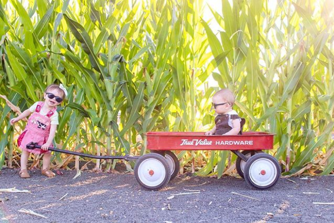 True Value Hardware tweet media