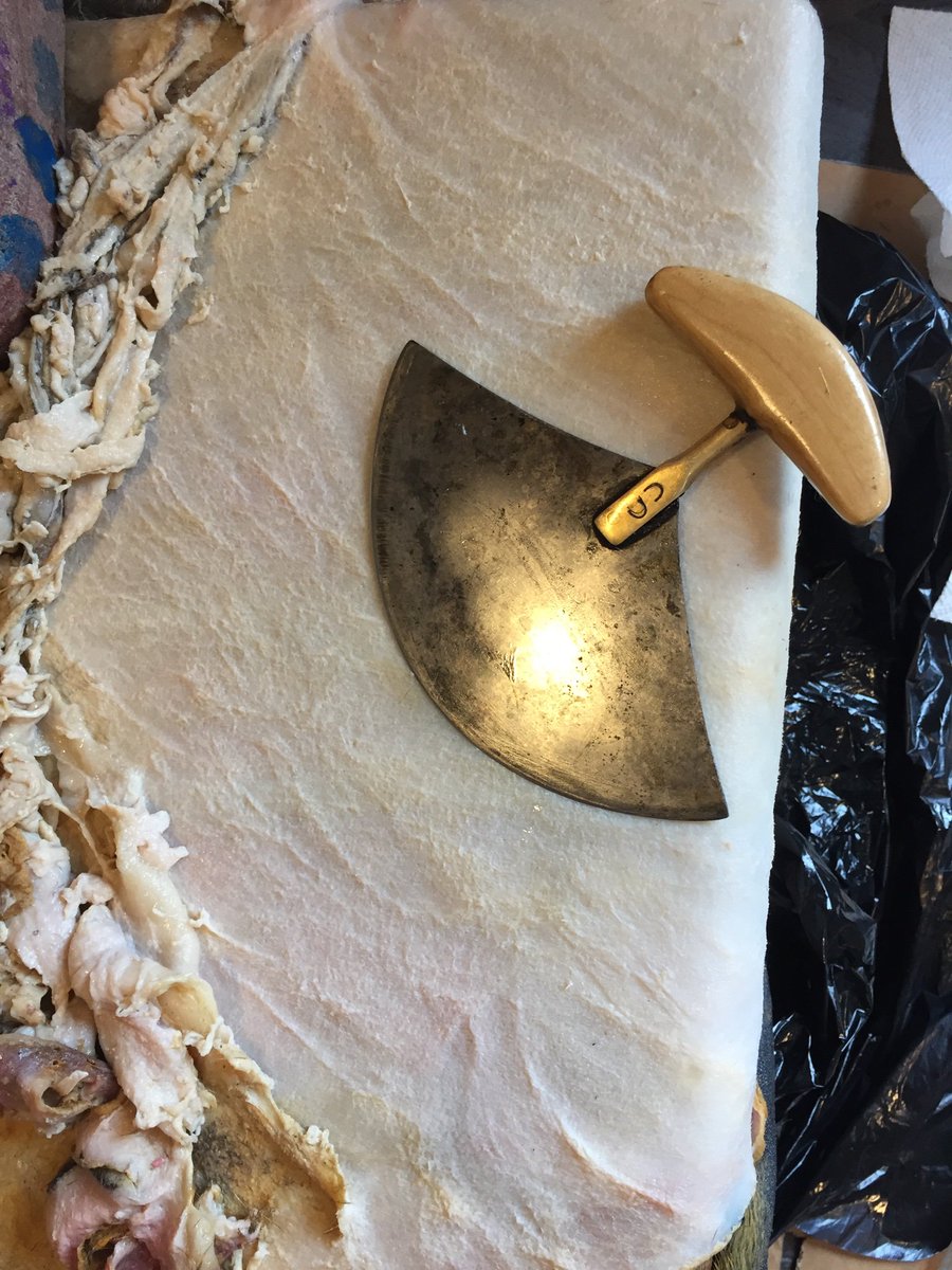 BernadetteDean2's tweet photo. @CanadaGoose @waub @BernadetteDean2  qaruvijaq stage before drying bearded sealskin we use for soles of  kamiit #indigenoustrades #Inuit #traditionalknowledge #traditionalskill https://t.co/dK9FTojx17