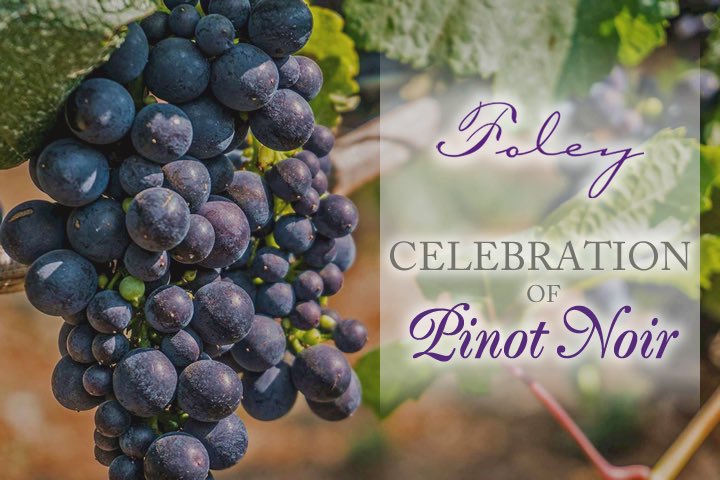 Join us September 14th for one of our favorite yearly events, Celebration of Pinot Noir! #pinotparty with #verticaltastings #livemusic #food and more! You won’t want to miss it. Link in bio!