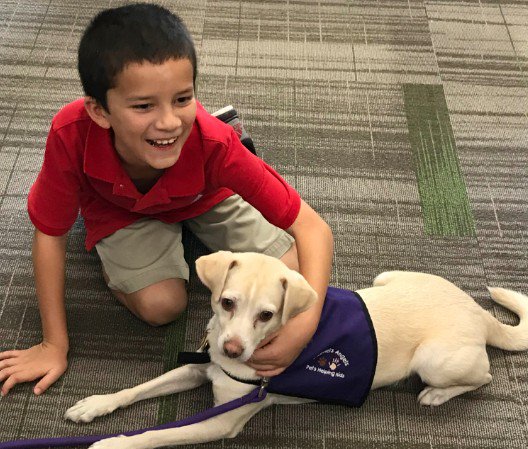 GA_SOAZ's tweet photo. How could you not smile?! 😍 #gabrielsangels #petshelpingkids #petshelpingcommunity #pettherapy #kidsareourfuture #friendship #unspoken #bond #calm #heartwarming #tucsondogs #tucsoncommunity #giveback #socialgood #nonprofit #arizona #az #volunteer #attachment #confidence #love https://t.co/3j3OMT8KPq