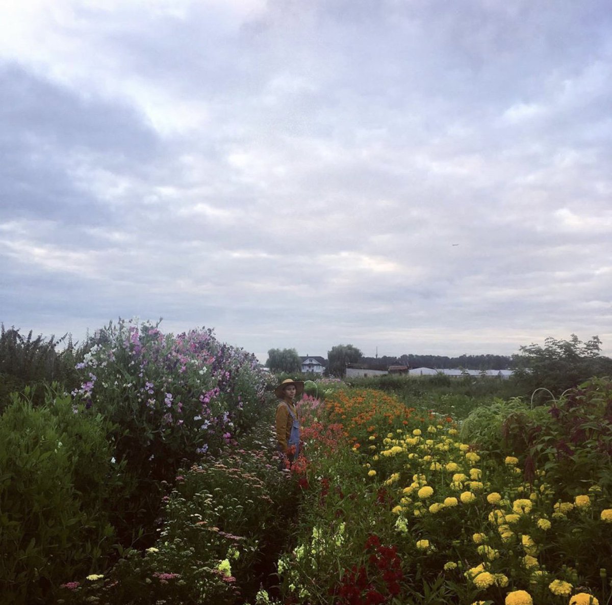 youngagrarians's tweet photo. We are so proud of the farmers who have been through the B.C. Land Matching Program! 💖Elly of Late Bloomers Flower Farm in #yvr transformed bare land to a lush flower forest this year.
Email land@youngagrarians.org or visit https://t.co/BRFzb9dmfw FMI #bclmp #growbc #bcagri https://t.co/8fiWuGONku