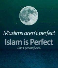 Banjosahills's tweet photo. Islam is perfect,
but I'm not...
Don't blame Islam, blame me
#RespectForMuslims https://t.co/FglXE4WRBn