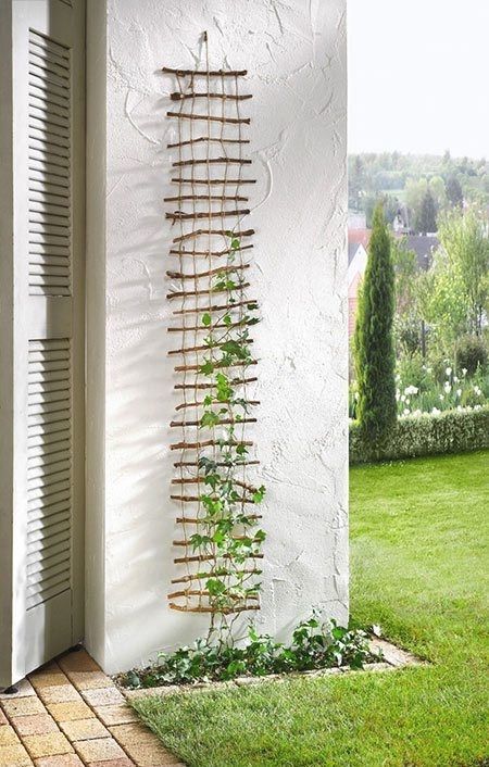 diyscript's tweet image. Just Pinned to DIY Windowsill Ideas: Even better, you can do it yourself with free materials such as sticks and branches. When you next trim trees, bushes, vines or raspberry canes, put these parts aside for these projects. If your willow grows better on… ift.tt/2YNwXag