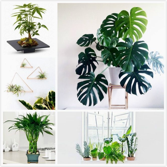 diyscript's tweet image. Just Pinned to Windowsill DIY Decor: How are you doing these days? If you’ve been feeling a little overwhelmed lately, and sitting still is somewhere on your to-do list between meditating and a tropical vacation ift.tt/2YI1iHf