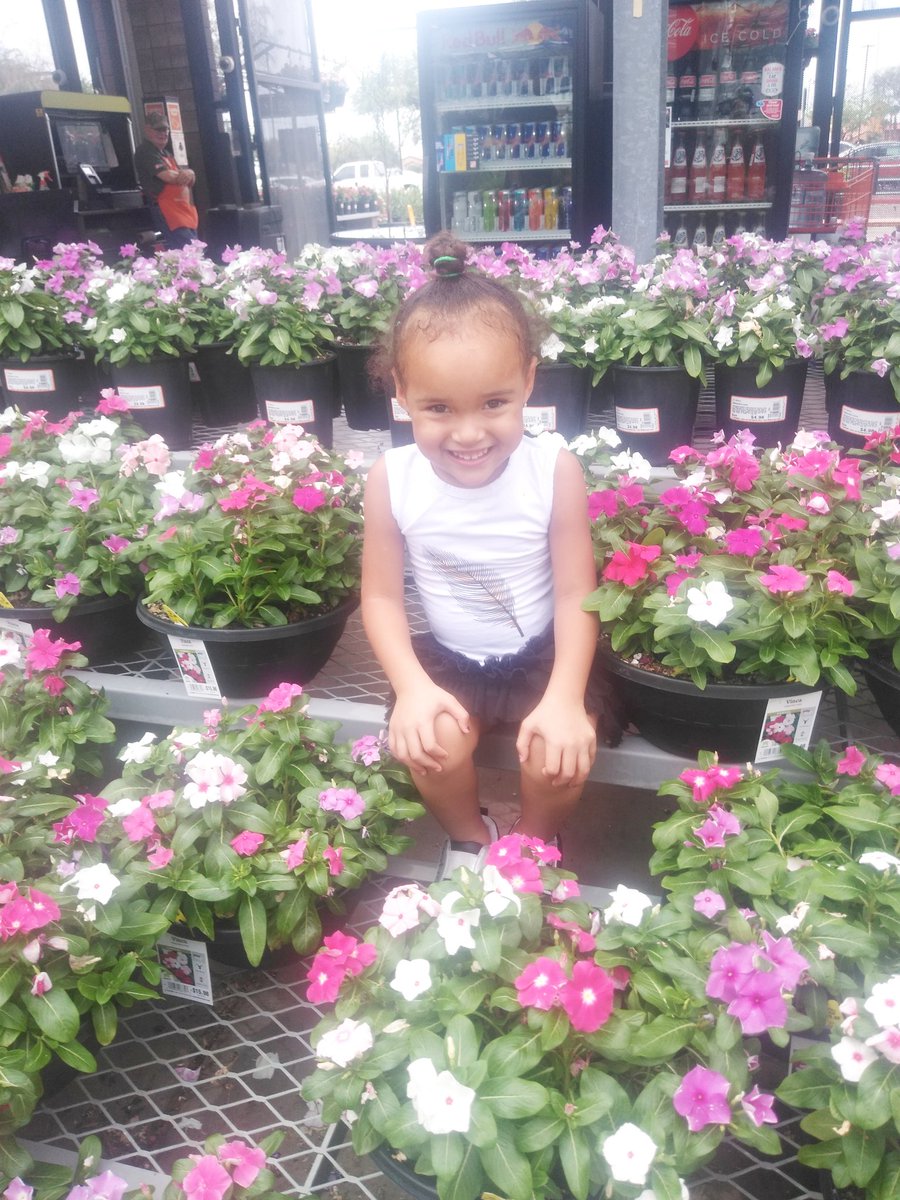 RandyBoston10's tweet photo. It's a #beautiful #tuesday to visit @HomeDepot ! As you can see there's something for everyone! Come visit #team441 in Avondale #today!
.
.
#D287BiggerStrongerFaster #tothemax #TuesdayMotivation #TuesdayThoughts #441pride #THD #HomeDepot #d287wesetthebar #0441wearethebar https://t.co/HDF0wJ3ZED