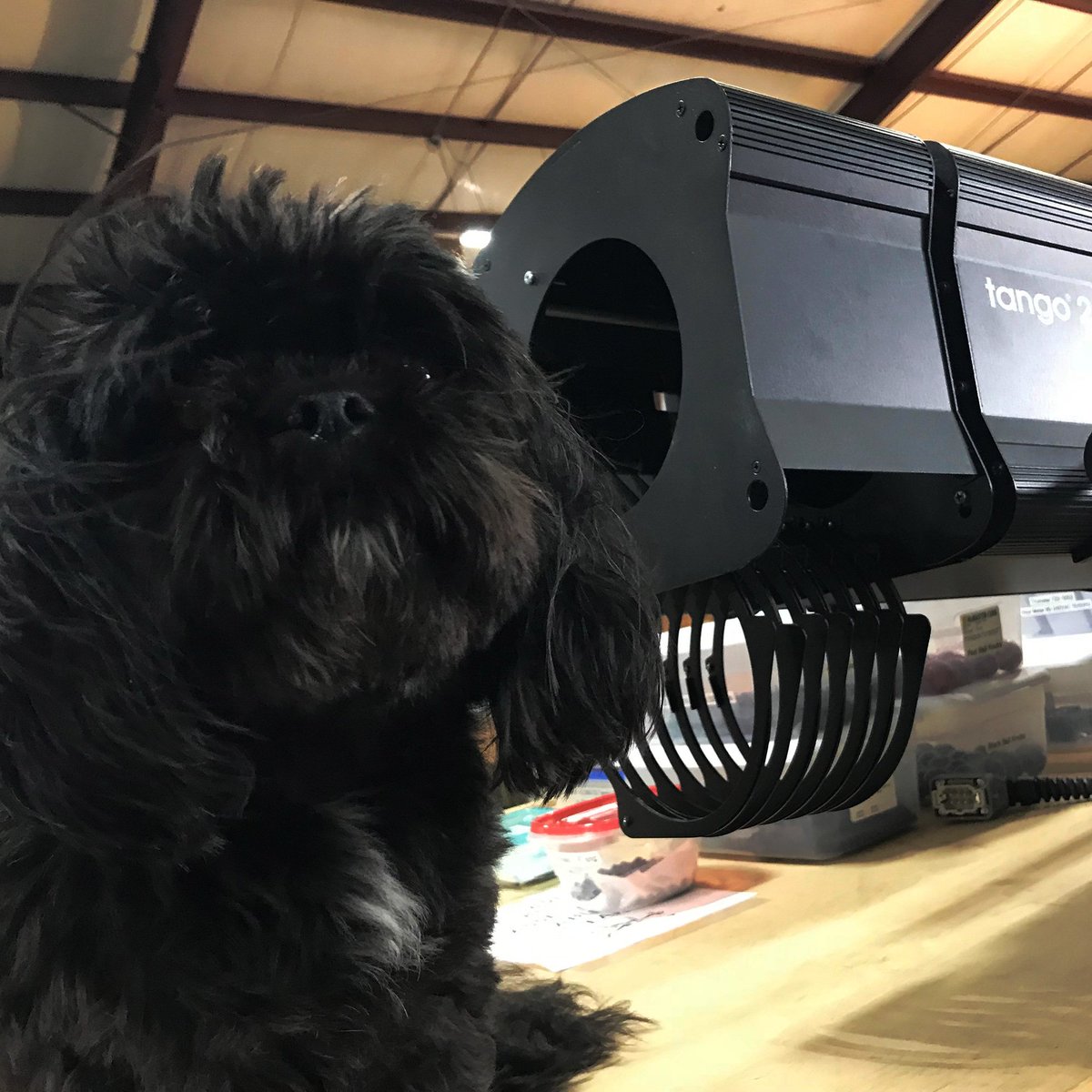 CantoUSA's tweet photo. Cool. Calm. Shop Dog. Ready to Tango.
#BossDog #ShopDog #CantoUSA #AtlantaLighting #LightingTech #TheatricalLighting #Followspots #ArchitecturalLighting #LightingDesign #EntertainmentLighting https://t.co/lloouyTwsi