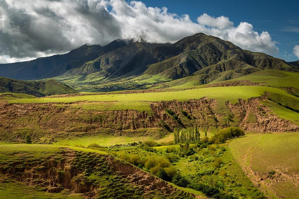 Chango Empanadas tweet media
