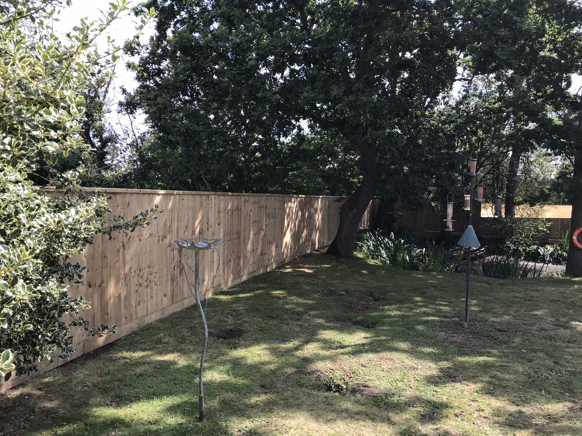 mikednew's tweet photo. ...phase 1 complete...#newfencing #gardenmakeover https://t.co/TBqFgl9zaw