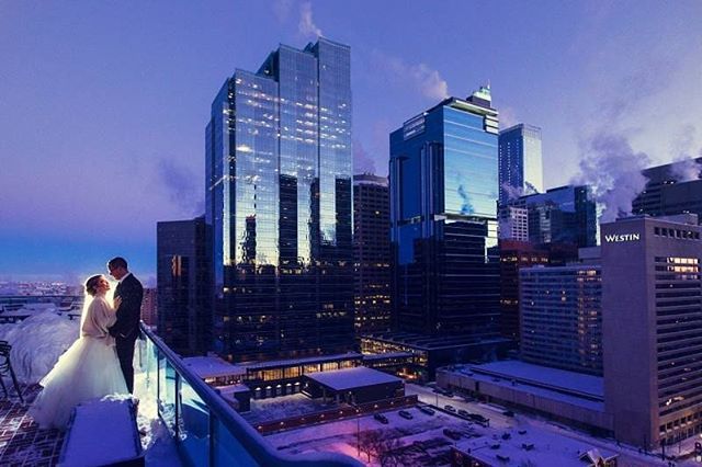 Confetti tweet media