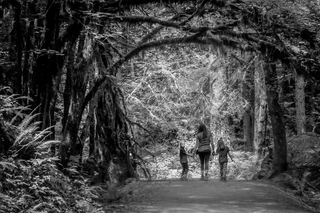 MonaLucas_Photo's tweet photo. I fell in love with this natural framing on the Lower Falls Gold Creek Trail in #GoldenEars Pk in #Maplearidge
#scenic7bc
#goldenears
#alouettepark #explorebc #bnw
@Scenic7BC @AlouetteParks @HelloBC @gooutside_live @604explore @DestinationCAN @enterherecanada @canadascope https://t.co/3ltimYmtrd