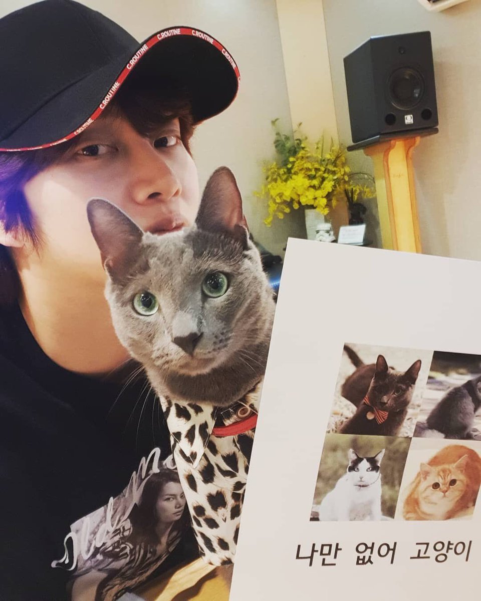 SJTurkeyBluElf's tweet photo. [190813] Heechul IG Güncellemesi

“#Heechul #KimHeechul #SuperJunior #HelloMyCat”

(AN.Fotoğraftaki kedi Jacson Heechul’ün Hello My Cat isimli programda seslendirdiği kedi)

Cr.heechulfacts https://t.co/oQas7l0R16