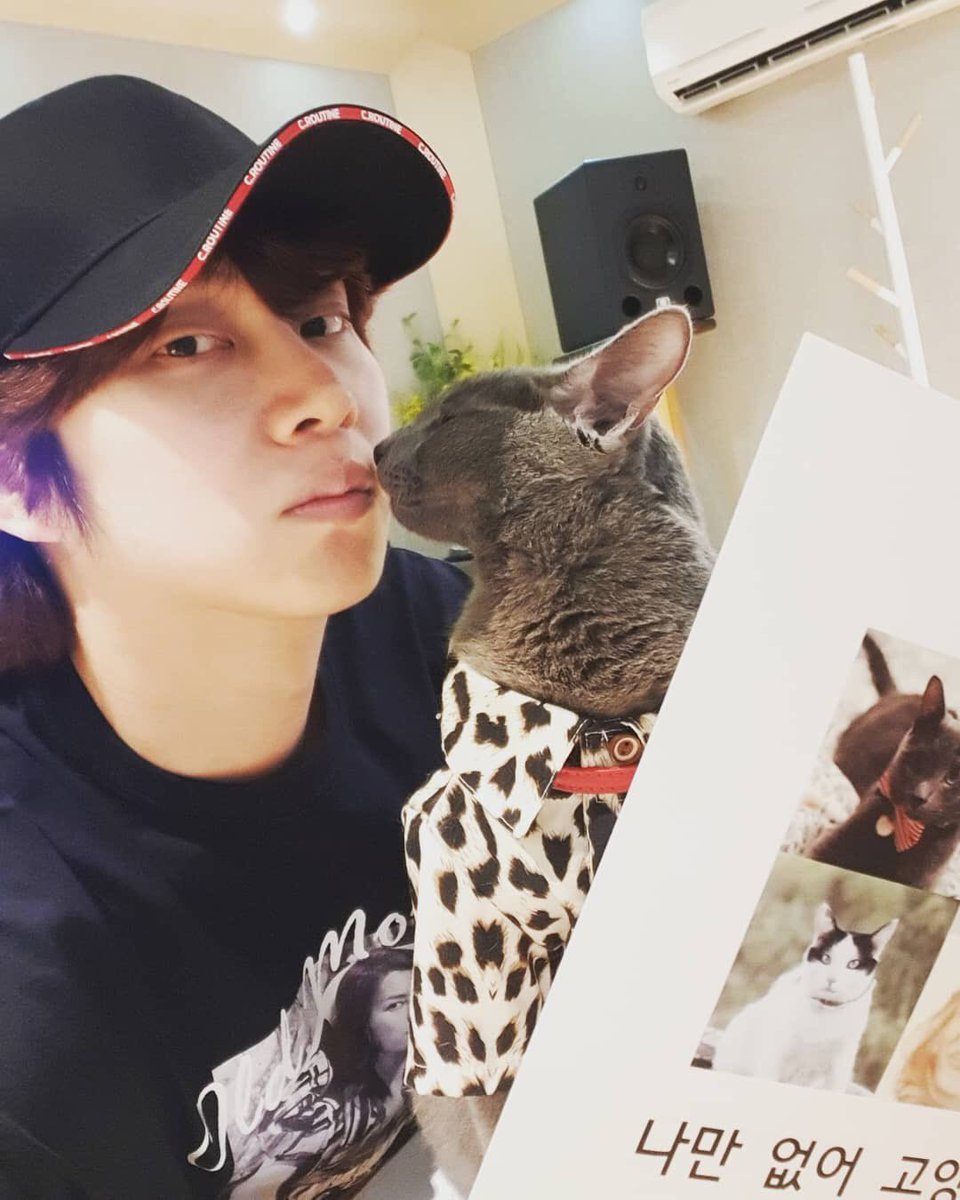 SJTurkeyBluElf's tweet photo. [190813] Heechul IG Güncellemesi

“#Heechul #KimHeechul #SuperJunior #HelloMyCat”

(AN.Fotoğraftaki kedi Jacson Heechul’ün Hello My Cat isimli programda seslendirdiği kedi)

Cr.heechulfacts https://t.co/oQas7l0R16