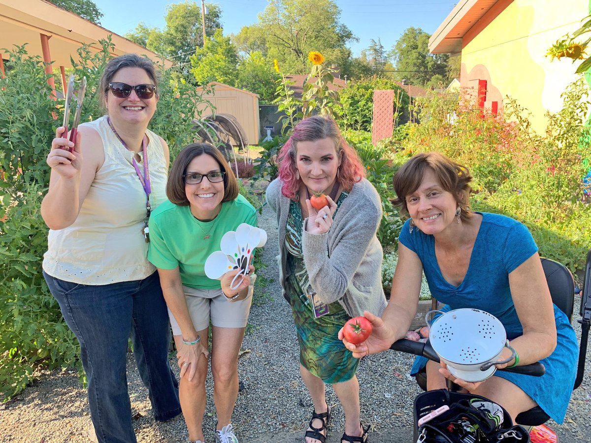 bphillipsgg's tweet photo. “Gardening is a medicine that does not need a prescription and has no dosage.” #TEAMGG #buildingTogether @Gregory_Gardens #schooltotable https://t.co/QFFQKEmw9M