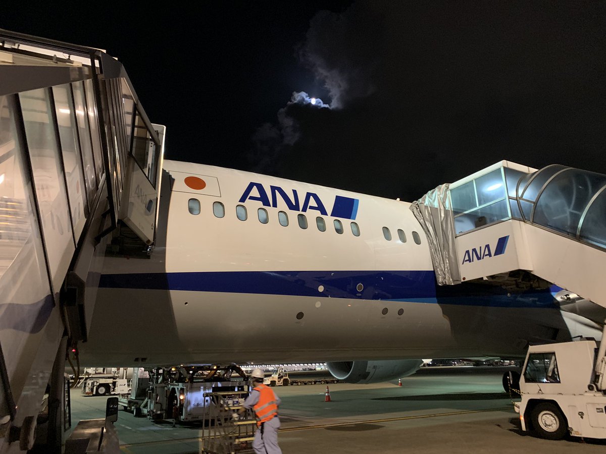 kuroboshi_ana1's tweet photo. 羽田空港に到着しました!
到着はオープンスポットでした🛩
#みんな大好きana
#nh886
#ja879a
#オープンスポット
#沖止め
#ソラマニ_ヒコーキ https://t.co/vuhc4dlvsn