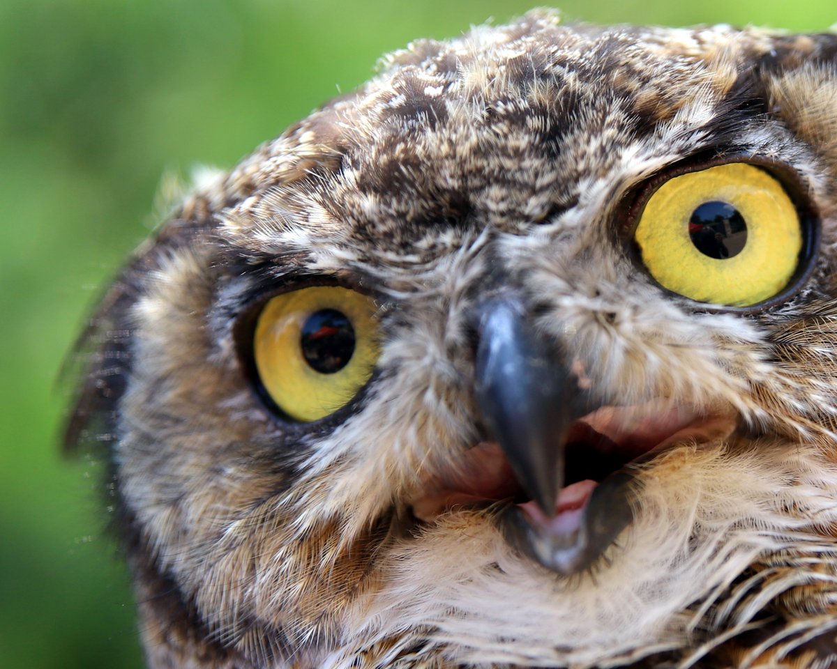 We told Stella that summer is almost over...she’s not to happy about it