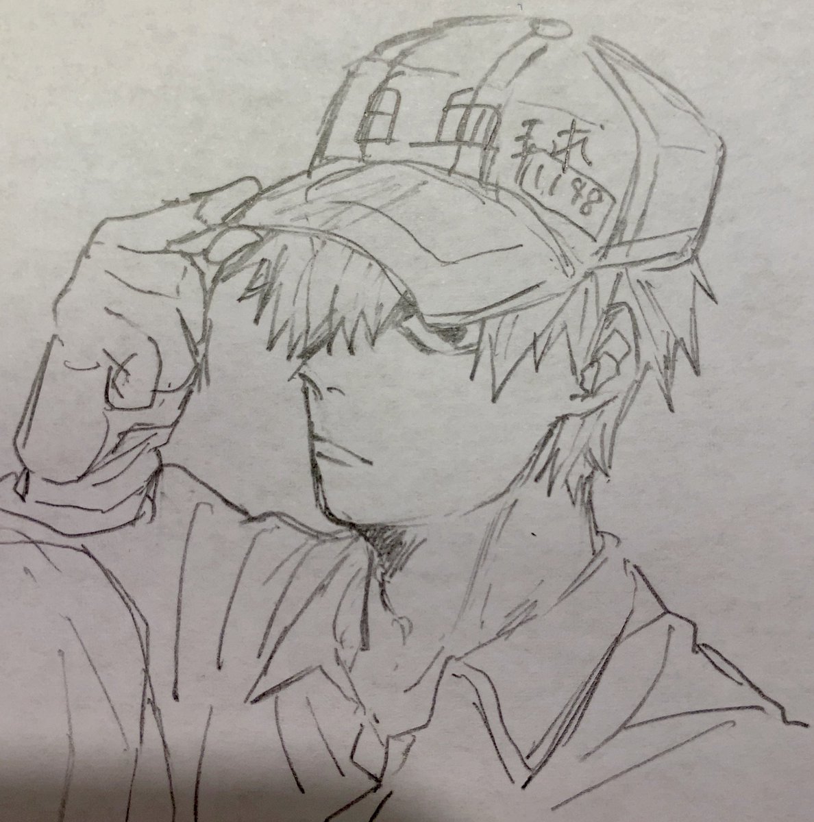 なつかしの白血球 