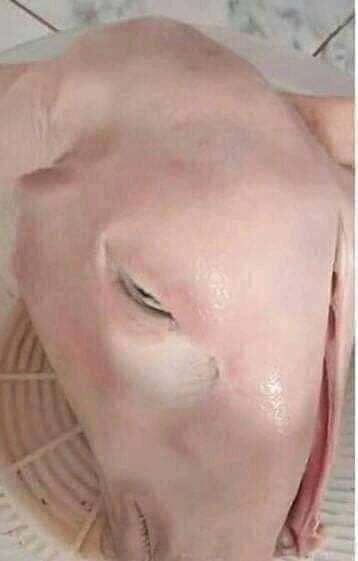 _al_suwailem's tweet photo. من إبداعات مواليد ٢٠٠٠م ... بالموووس 😱😂 https://t.co/Qw5iKK5lrq