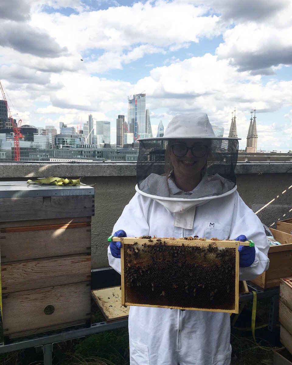 JoannaFlood23's tweet photo. It’s not every day you get the opportunity to do beekeeping on one of London’s rooftop gardens 🐝🌱 Thank you @NickEast_amazon, @BeesintheCity and @SocialBeeCafe 🍯 #beekeeping #lovemyjob https://t.co/TD13GQlLy0