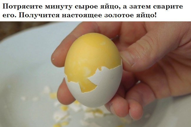 lasdromeda's tweet image. 