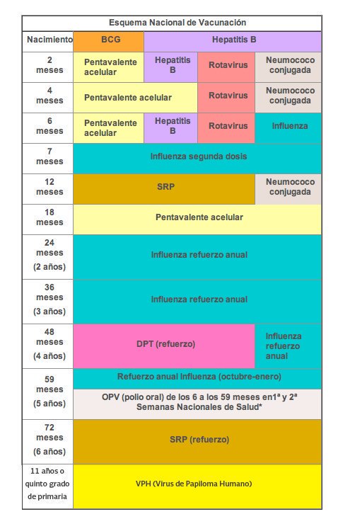 DanielUribeF's tweet photo. Esquema de vacunación en México.
Las vacunas y cuando aplicarlas.
@SSalud_mx
#MicroPara #Infectologia https://t.co/bAX6D70ktu
