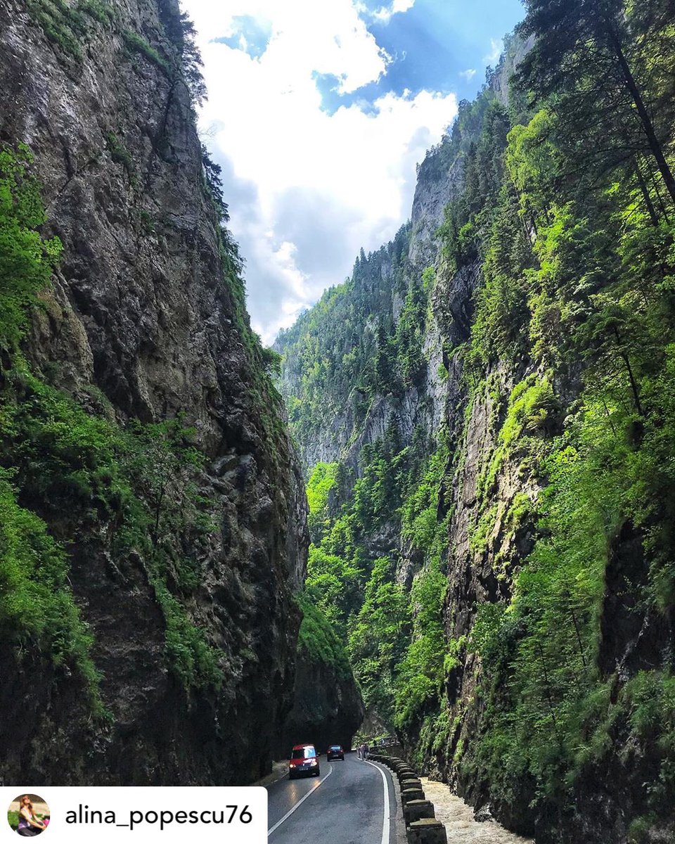 PositiveRomania's tweet image. Narrow road trough Bicaz
Photo by Alina Popescu
#Romania