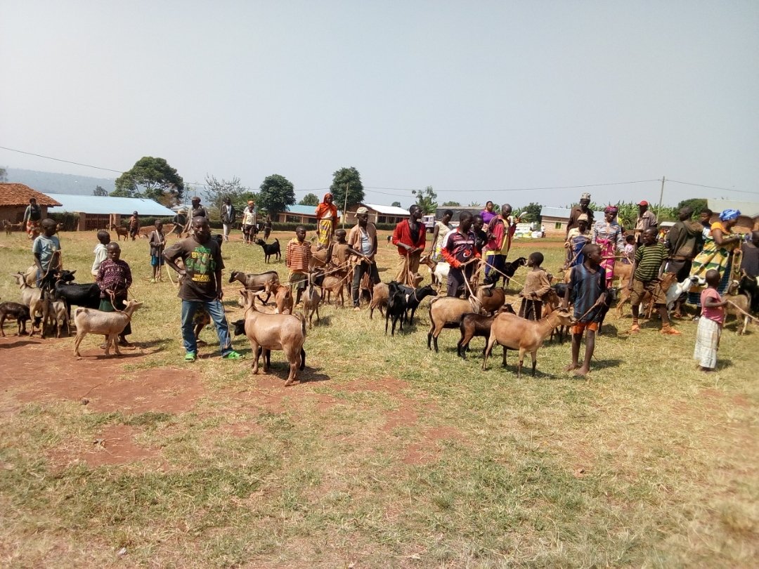 Mukurasector_Huye tweet media