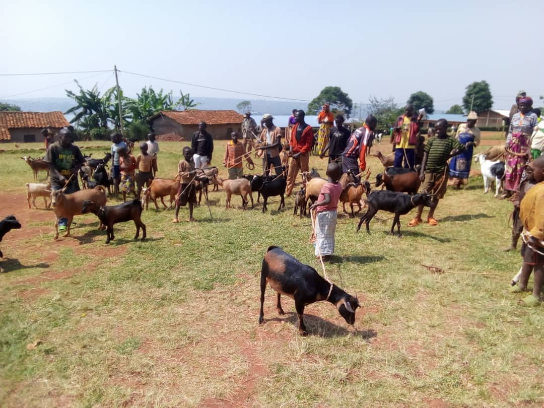 Mukurasector_Huye tweet media