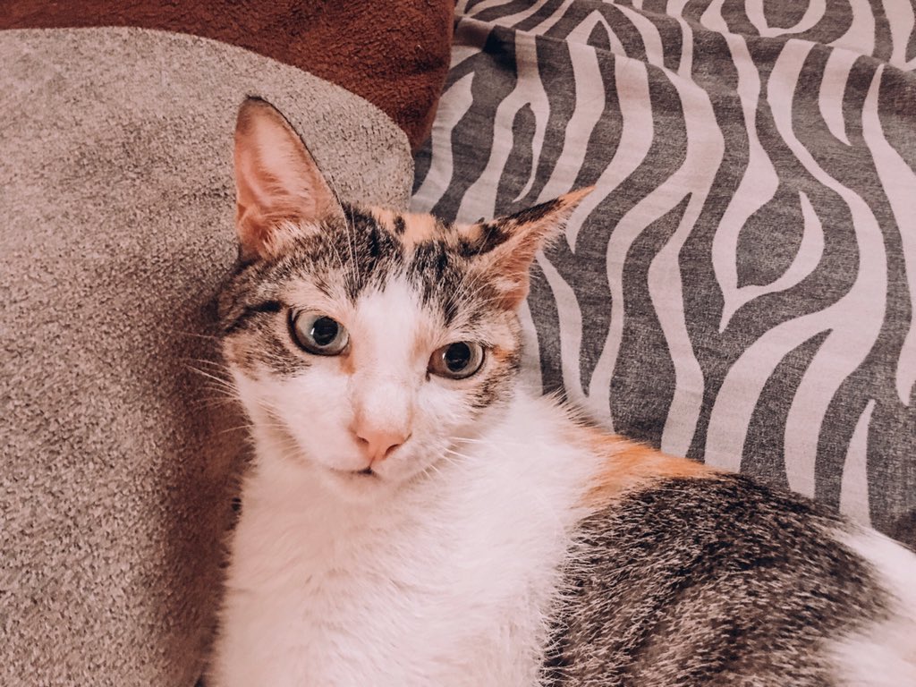 My bb love 🥰