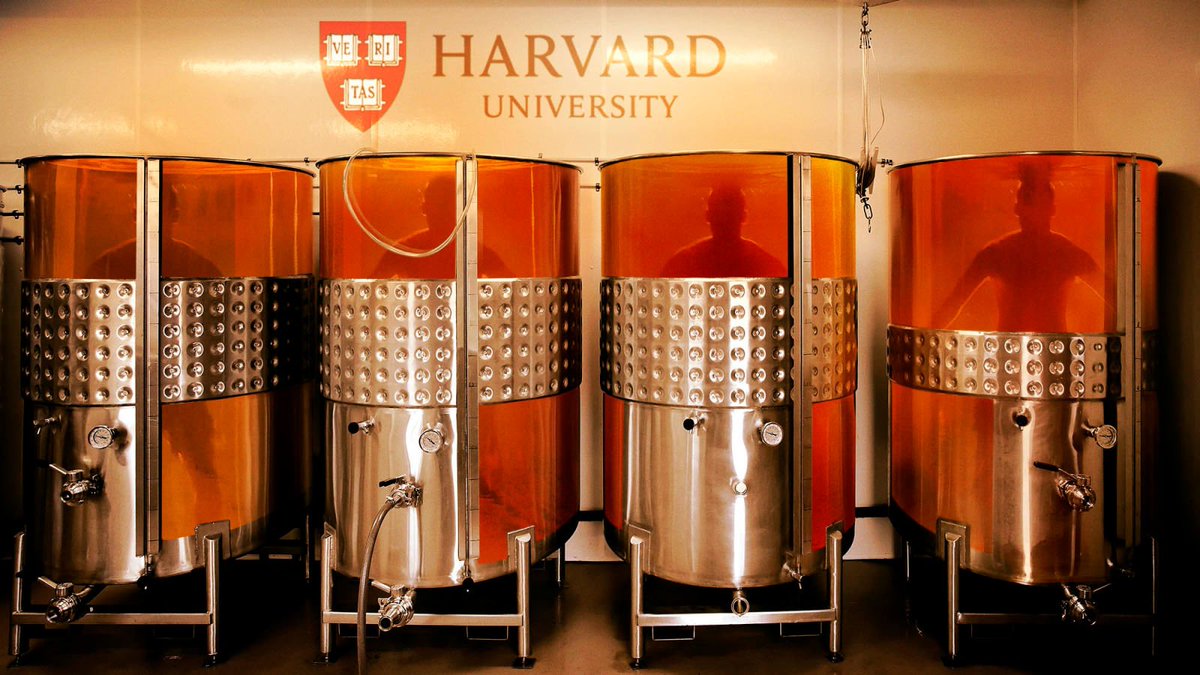 TheOnion's tweet photo. Harvard Streamlines Admission Process By Directly Growing New Students From DNA Of Top Donors https://t.co/ePiIIlzM3T https://t.co/6pR1dyC1W9