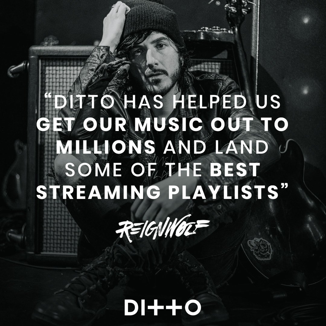 Dittomusic's tweet photo. We've been supporting independent artists with more than just distribution for over a decade. Find out more about how we've helped artists such as @reignwolf and more via the link below!

🤘 https://t.co/mN1zAyN6uC

#DittoPlus #StayIndependent https://t.co/l21hdqPkIj
