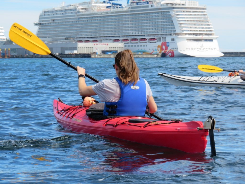 CushWakeVan's tweet photo. We had a blast kayaking around Seal Island, just west from Victoria's Harbour at our @CushWakeVic Summer Event last month! #Summer2019 #TeamBuilding @CushWakeCanada https://t.co/KArxXAiKy7