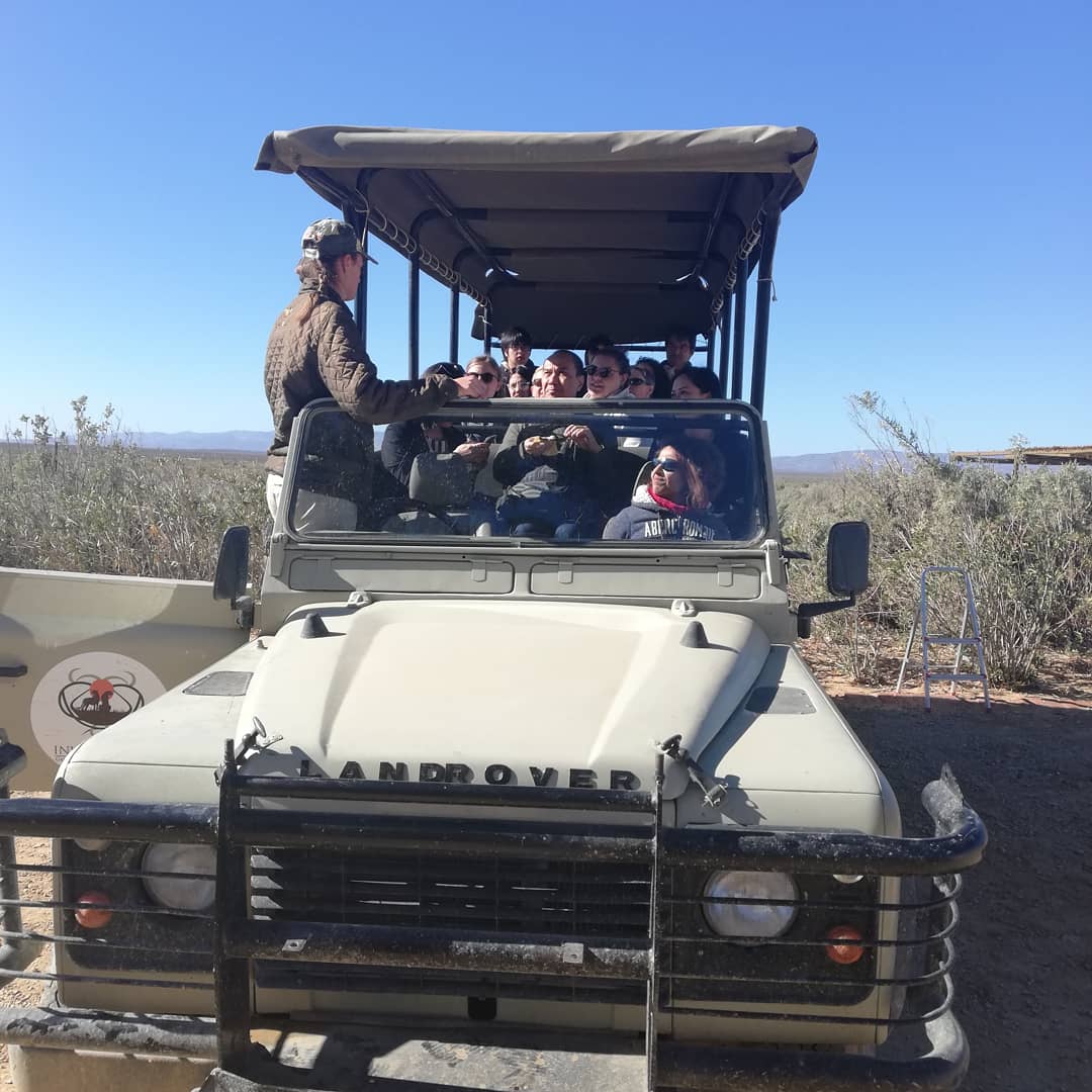 CapeTownGayTour's tweet photo. We've had the pleasure of the gorgeous Lisa &amp; Brennin again today on tour, this time on a Day-Safari, what a fabulous day had all round 🦏 🐘 🦁 🐃 🐆 #gaytourscapetown #gaydaysafari #capetowngaytours #gaytravelAfrica #gaytours #gaydaytours #gaysa #gaytravel #lgbtqtours https://t.co/GhzhNXZVwt